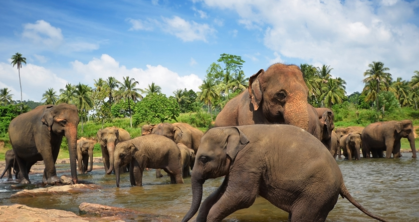 Bali- Honeymoon Package